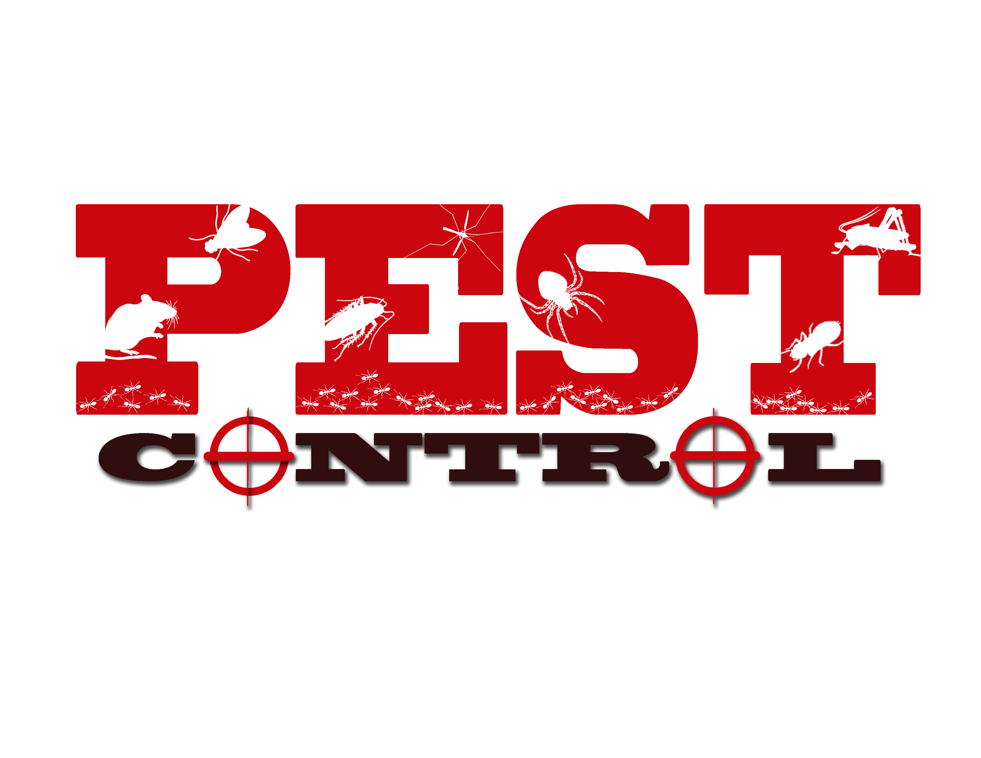 Best pest control company in San Antonio